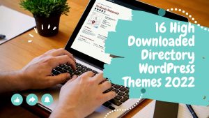 Directory WordPress Theme